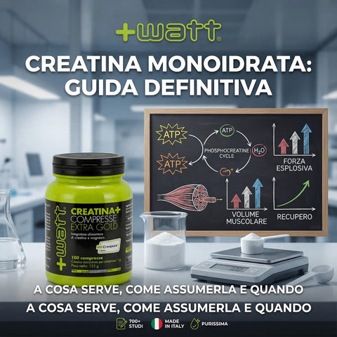 Barattolo di Creatina Monoidrata +Watt Extra Gold su panca da palestra.