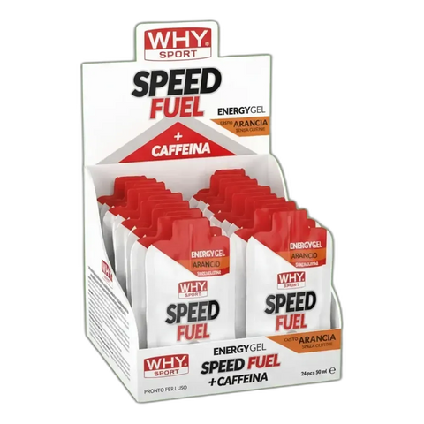 Speed Fuel Why Sport – box da 24 Brick / Arancia